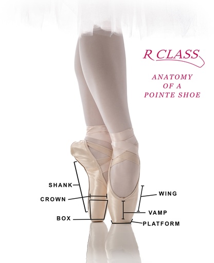 Pointe Shoe Fitting w/ Master Fitter