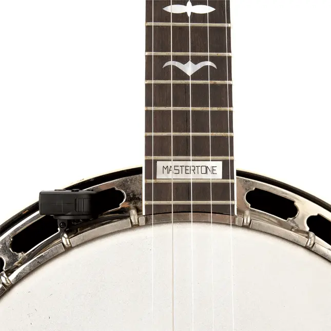 Banjo 5.webp