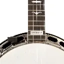 Banjo 5.webp