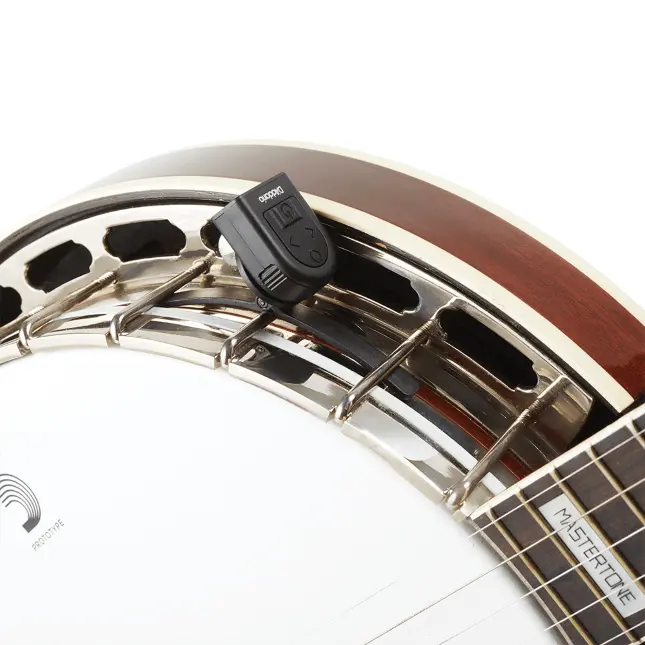 Banjo 4.webp
