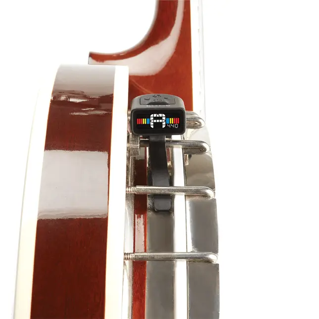 Banjo 3.webp