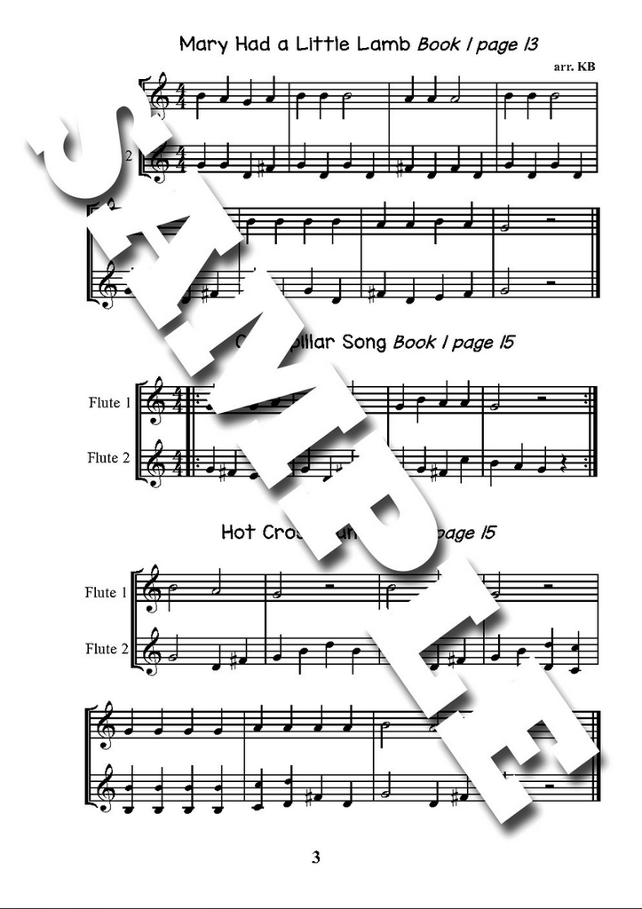 Flute Zoo Duet Book