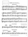 Blocki Flute Method Book 2 (3rd Edition)