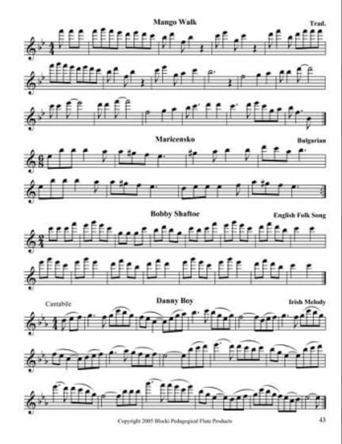 Blocki Flute Method Book 2 (3rd Edition)