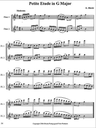 Blocki Flute Method Duet Book  2