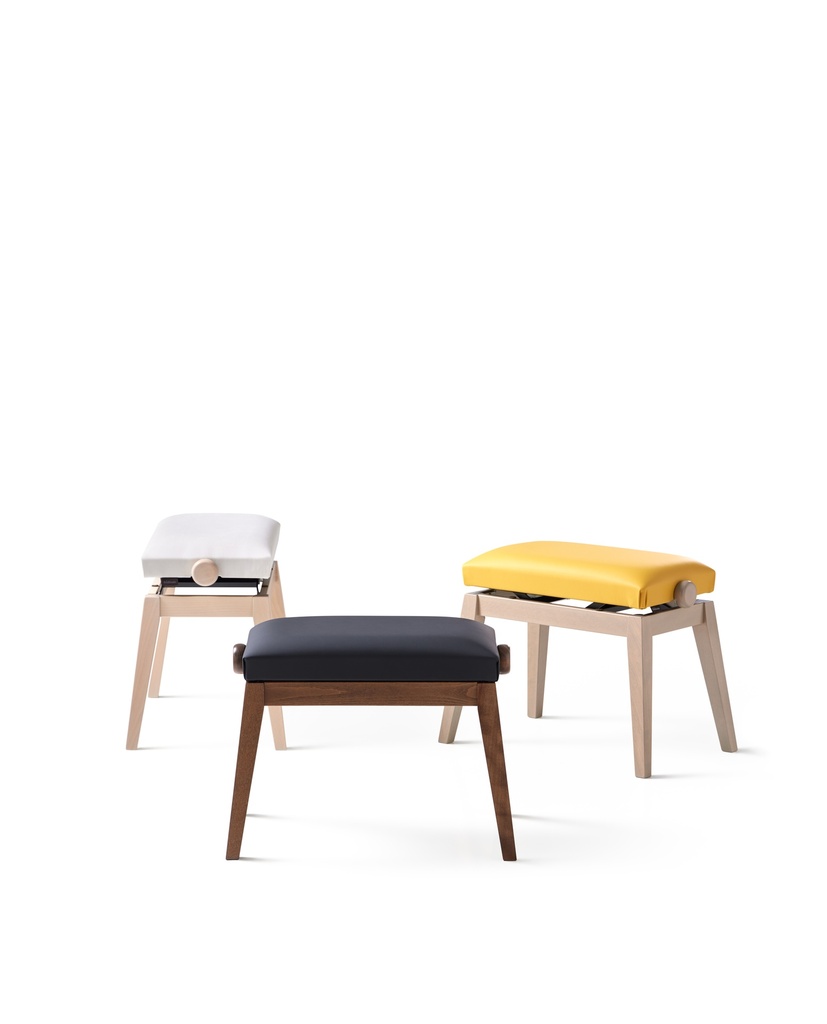 Casio Adjustable Bench