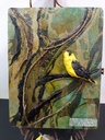 Goldfinch's Song