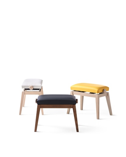 Casio Adjustable Bench